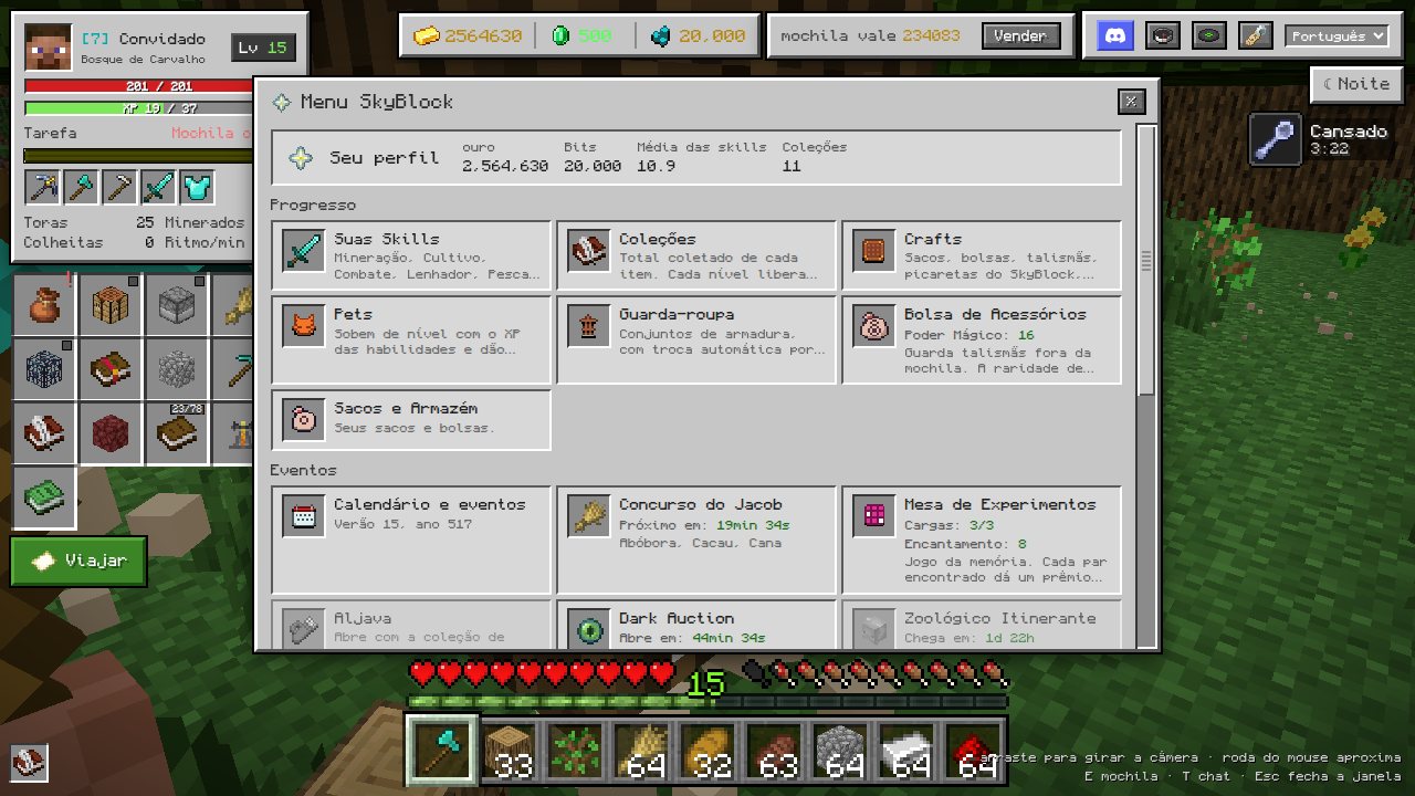 O Menu do SkyBlock, que aparece depois do portal